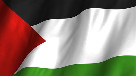 Black Educator: Palestine Peace Not Apartheid, palestina HD wallpaper ...