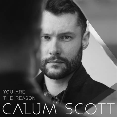 Calum Scott – You Are the Reason Lyrics | Genius Lyrics