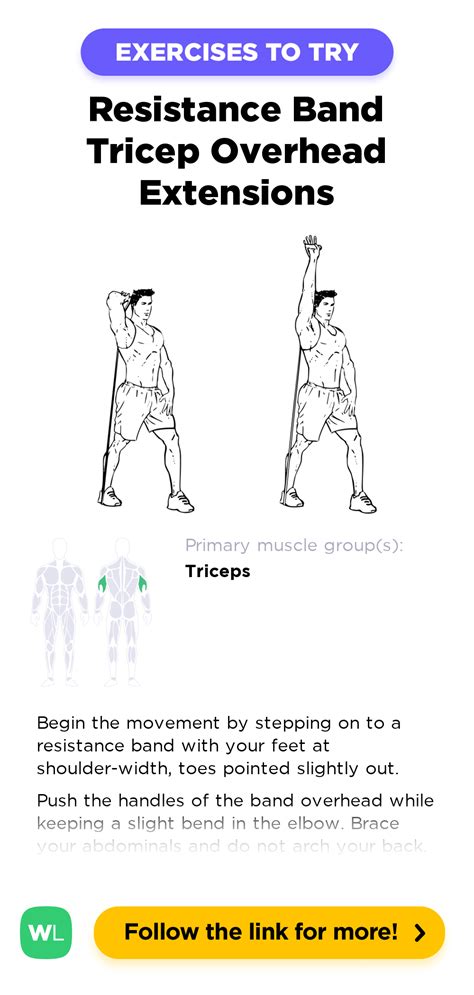 Tricep Exercises With Resistance Bands | EOUA Blog