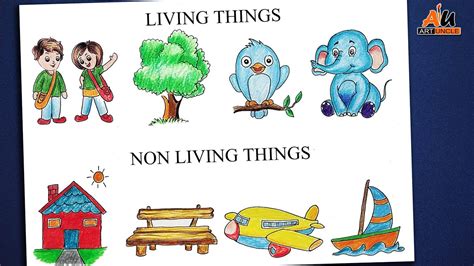 How to Draw Easy & Simple Living and Non Living Things for Kids ...