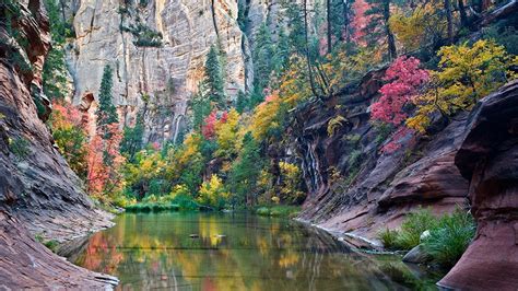 West Fork Oak Creek Trail | Arizona Highways