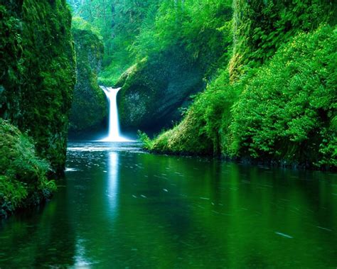 Beautiful Nature Wallpaper with Waterfall and Green Trees