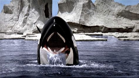 Watch Orca (1977) Full Movie Online Free | Movie & TV Online HD Quality