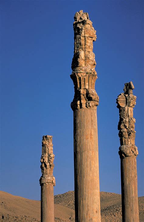 Fluted columns at Persepolis Photograph by Carl Purcell | Fine Art America