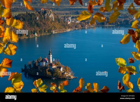 Bled, Slovenia - Sunrise at lake Bled taken from Osojnica viewpoint ...