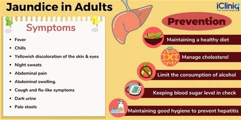 Jaundice in Adults: An Overview - Types | Symptoms | Risk Factors ...