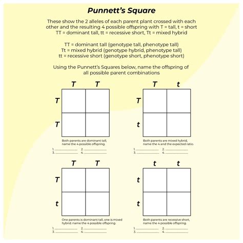 Punnett Square Worksheets - 10 Free PDF Printables | Printablee