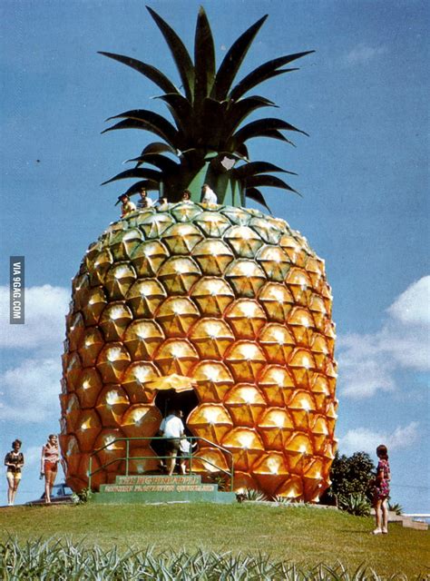 IT'S REAL! Spongebob's house in Nambour! - 9GAG