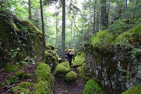 Hiking the boreal forest in Pukaskwa National Park, Ontario Canada : hiking