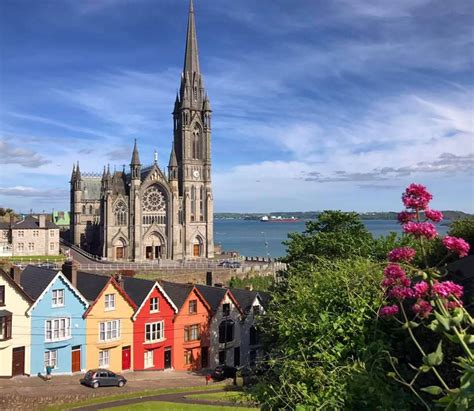 saint peter and paul church cork - Annice Saucedo