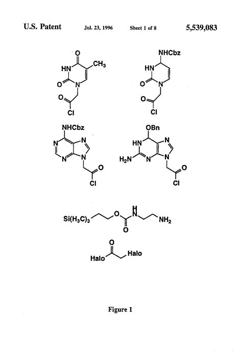 Patent US5539083 - Peptide nucleic acid combinatorial libraries and ...