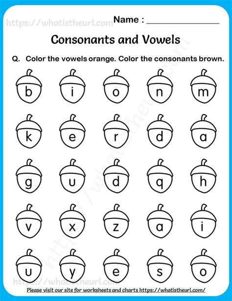 Worksheets on Consonants and Vowels for Grade 1 - Your Home Teacher ...