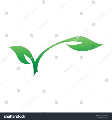 17,863 Two leaf bud Images, Stock Photos & Vectors | Shutterstock