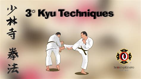 Shorinji Kempo - 3 kyu techniques - YouTube