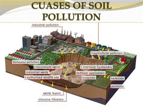 😍 Soil pollutants and their sources. What are the different types of ...