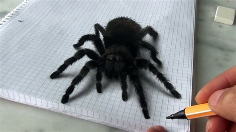 How To Draw A Realistic Spider