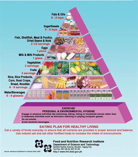 Daily Food Guide Pyramid