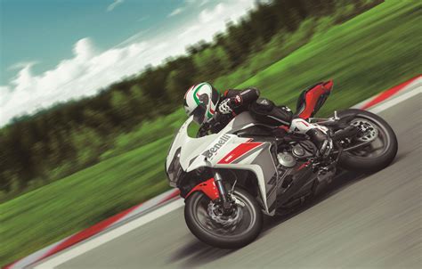 Benelli 302R - Rebranded & Now Euro4 Compliant - Asphalt & Rubber