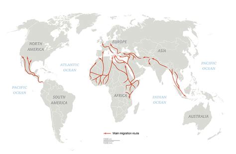 Migration Map World - Ailyn Atlanta