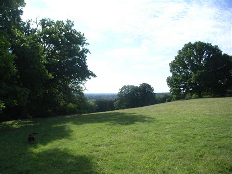 Henley Park towards Henley town - A Foot In The Chilterns