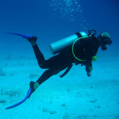 Scuba diving - Wikipedia