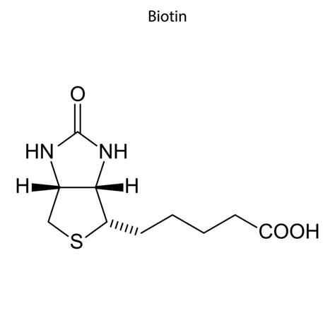 Skeletal formula of molecule. 8099839 Vector Art at Vecteezy