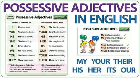 Possessive Adjectives in English - Grammar Lesson | possessive ...