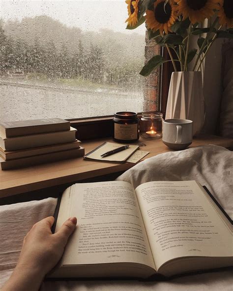 Pin by Натали Валентинова on Books lover | Book aesthetic, Brown ...