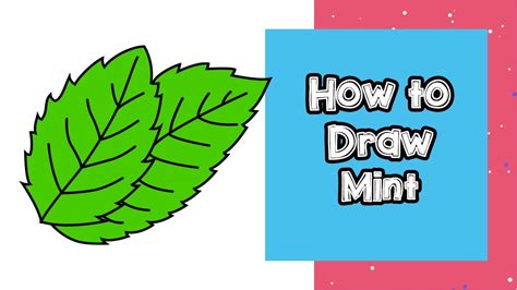 how to draw a mint leaf step by step - trentdrott