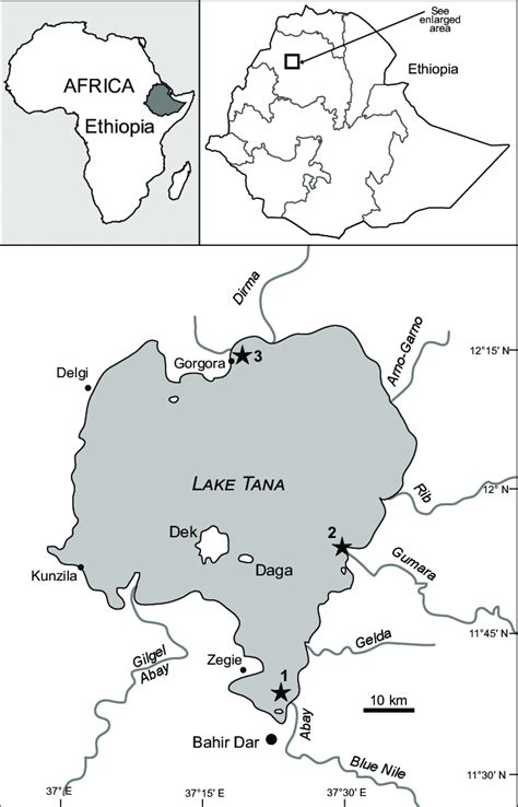 A map showing the location of Lake Tana in relation to Africa, Ethiopia ...