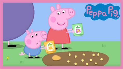 Peppa Pig - Peppa and George's Garden (Full Episode) | Doovi