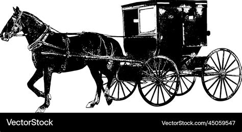 Amish horse and buggy Royalty Free Vector Image