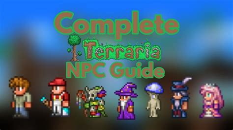 Complete Terraria NPC Guide | VGKAMI