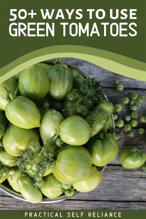 50+ Green Tomato Recipes | Green tomato recipes, Tomato recipes, Green ...