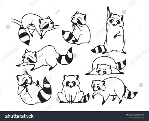 Set Funny Racoons Collection Stylized Raccoons Stock Vector (Royalty ...