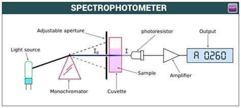 uv vis spectrophotometer principle - Fiona Mackenzie