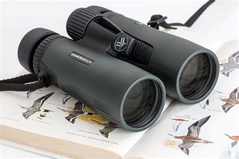 How to Choose the Best Safari Binoculars for African Safaris