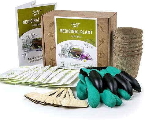 FIVE OF THE BEST TEA GROWING KITS… – THE VILLAGE KITCHEN