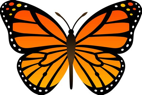 Orange Monarch Butterfly Vector - Free Clip Art