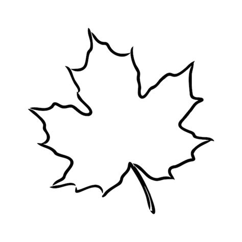 Premium Vector | Fall leaf clipart black and white leaf drawing vector ...