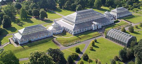 Royal Botanic Gardens Kew - Buffini Chao Foundation