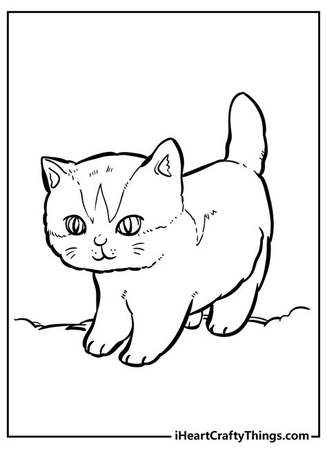 Relax and de-stress with cute cats to color coloring pages