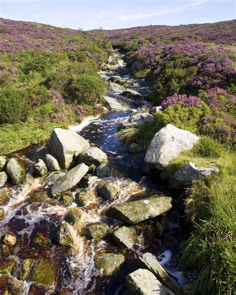 Wicklow Mountains National Park | AA