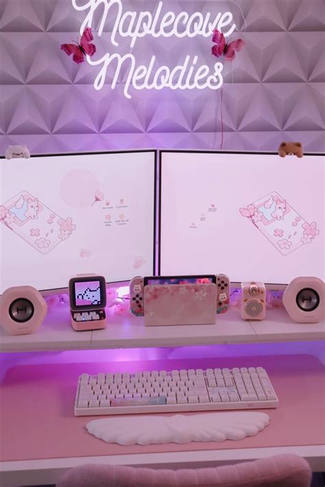 Pink Setup : r/PinkSetups