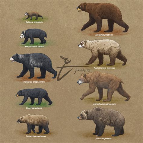 ArtStation - Bears, extinct