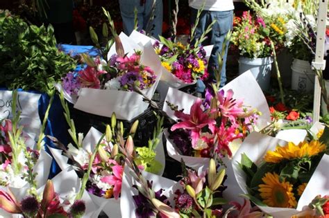 Farmers' Market Fresh Flowers Free Stock Photo - Public Domain Pictures