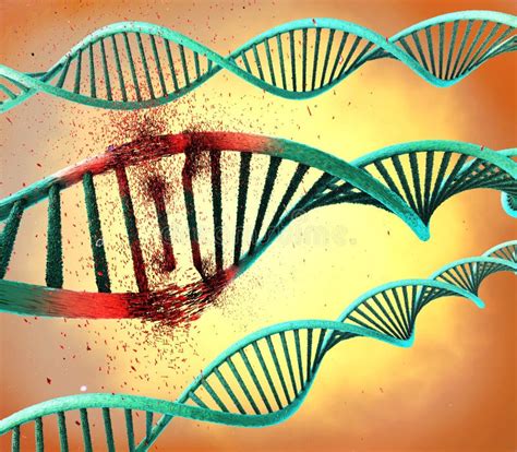 Schädigender DNA-Strang stock abbildung. Illustration von krebs - 73118147