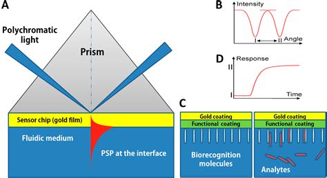 Sensors | Free Full-Text | Surface Plasmon Resonance: A Versatile ...