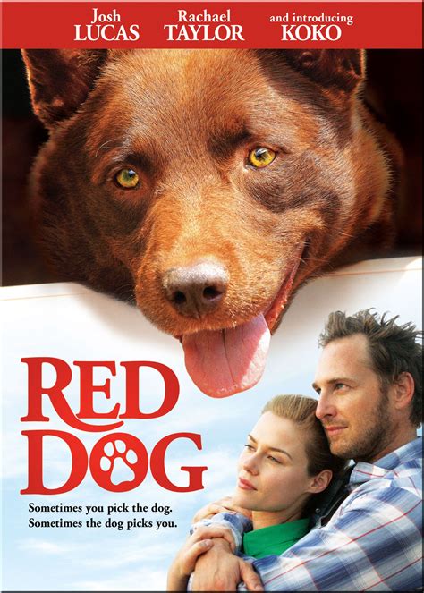 Red Dog DVD Poster [Exclusive]