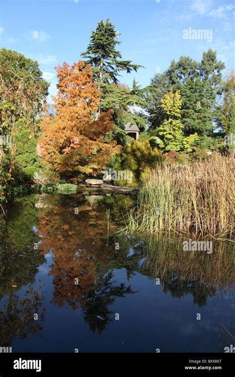 Ness Botanic Gardens, England. Autumnal view of Ness Botanic Gardens ...